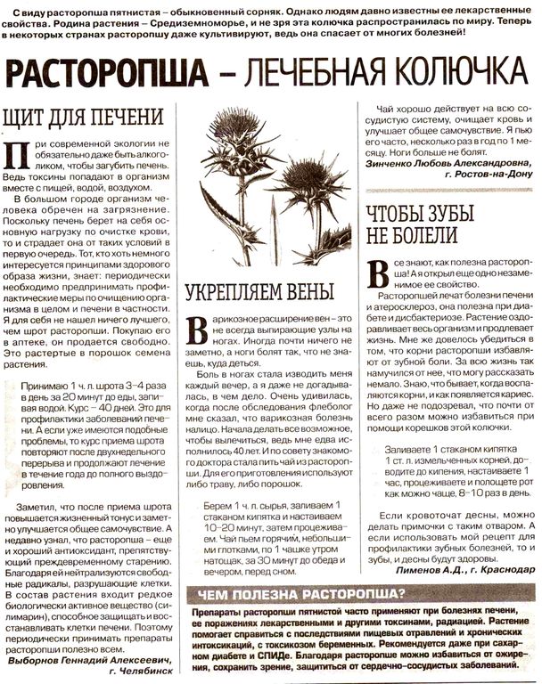 Расторопша семена 100 гр. в Новосибирске