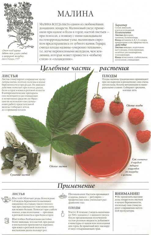 Малина лист 250 гр. в Новосибирске