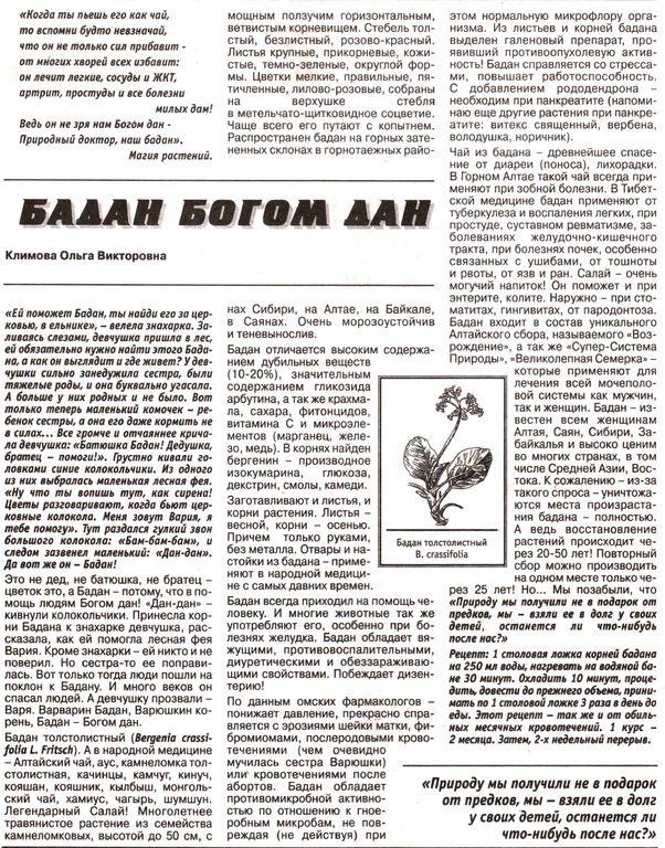 Бадан лист 100 гр. в Новосибирске