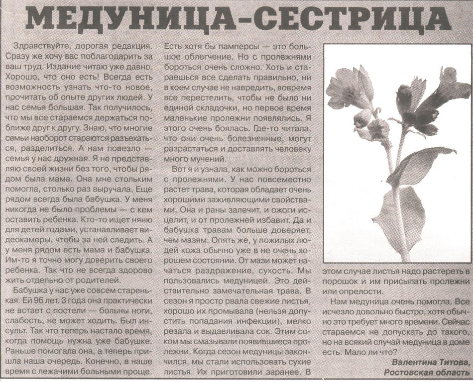 Медуница трава 100 гр. в Новосибирске