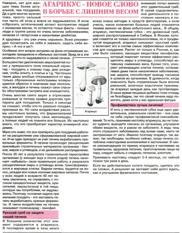 Агарик гриб 100 гр. в Новосибирске
