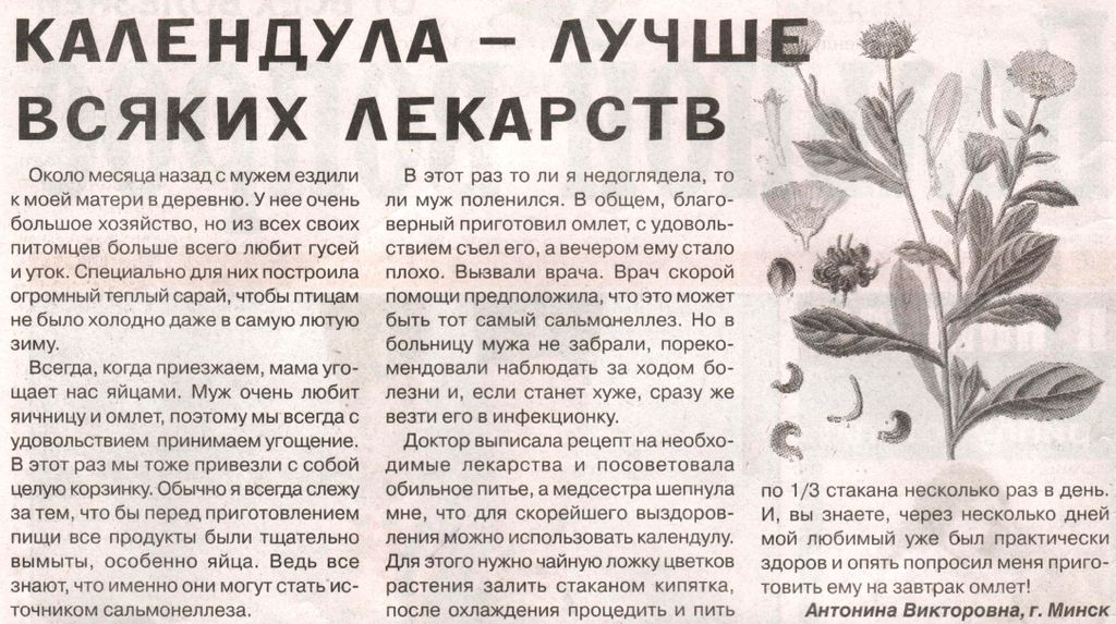 Календула цветы 100 гр. в Новосибирске