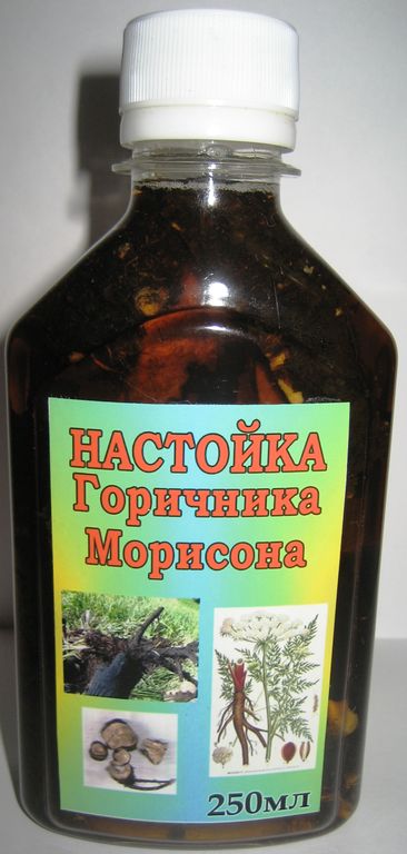 Горичник Морисона настойка корня в Новосибирске