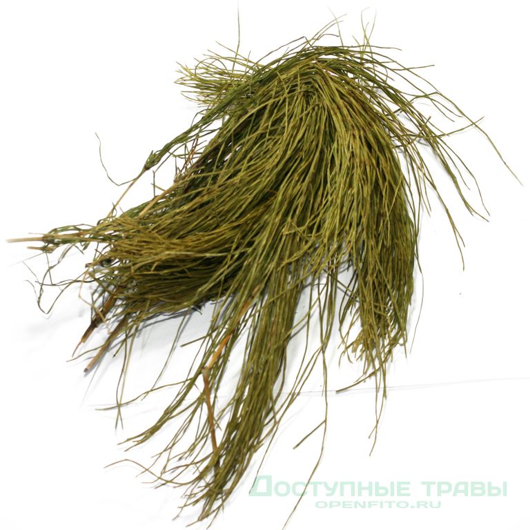 Хвощ трава 200 гр. в Новосибирске