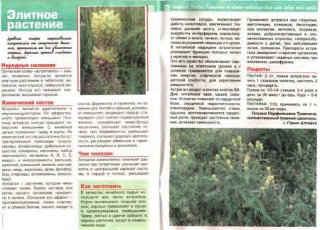 Астрагал перепончатый, трава 100 гр. в Новосибирске
