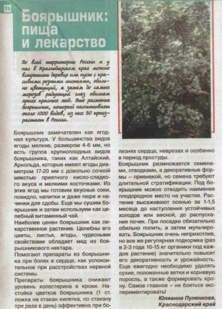 Боярышник корень 200 гр. в Новосибирске