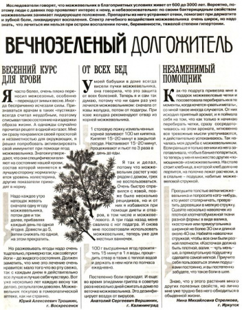 Можжевельник плод 100 гр. в Новосибирске