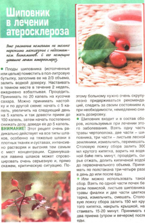 Шиповник плоды 100 гр. в Новосибирске