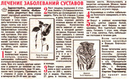 Лопух корень 100 гр. в Новосибирске