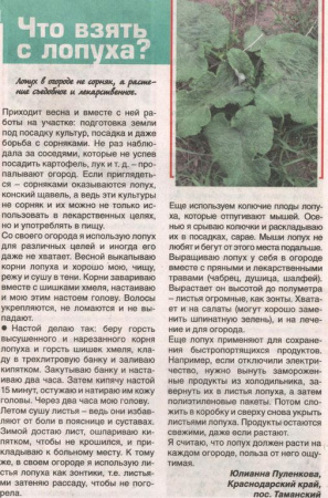 Лопух корень 100 гр. в Новосибирске