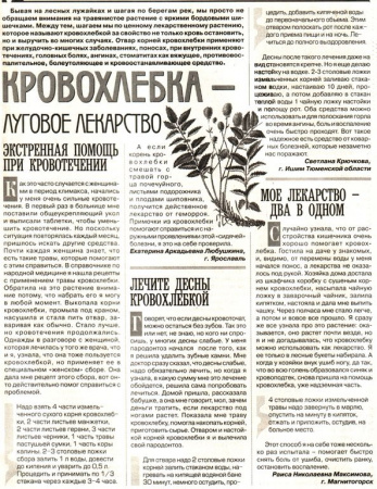 Кровохлебка корень 200 гр. в Новосибирске