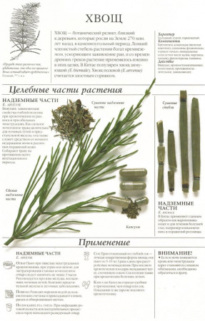 Хвощ трава 200 гр. в Новосибирске
