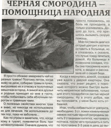 Смородина лист 200 гр. в Новосибирске