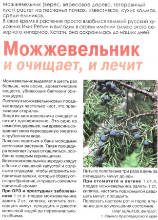 Можжевельник плод 100 гр. в Новосибирске