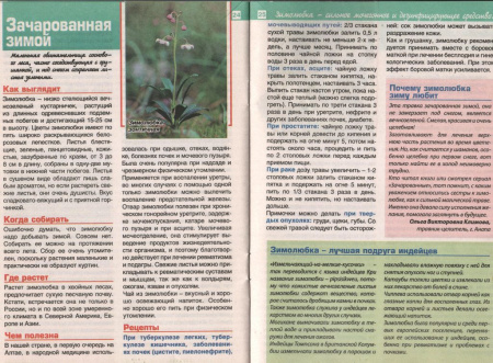 Зимолюбка трава 200 гр. в Новосибирске